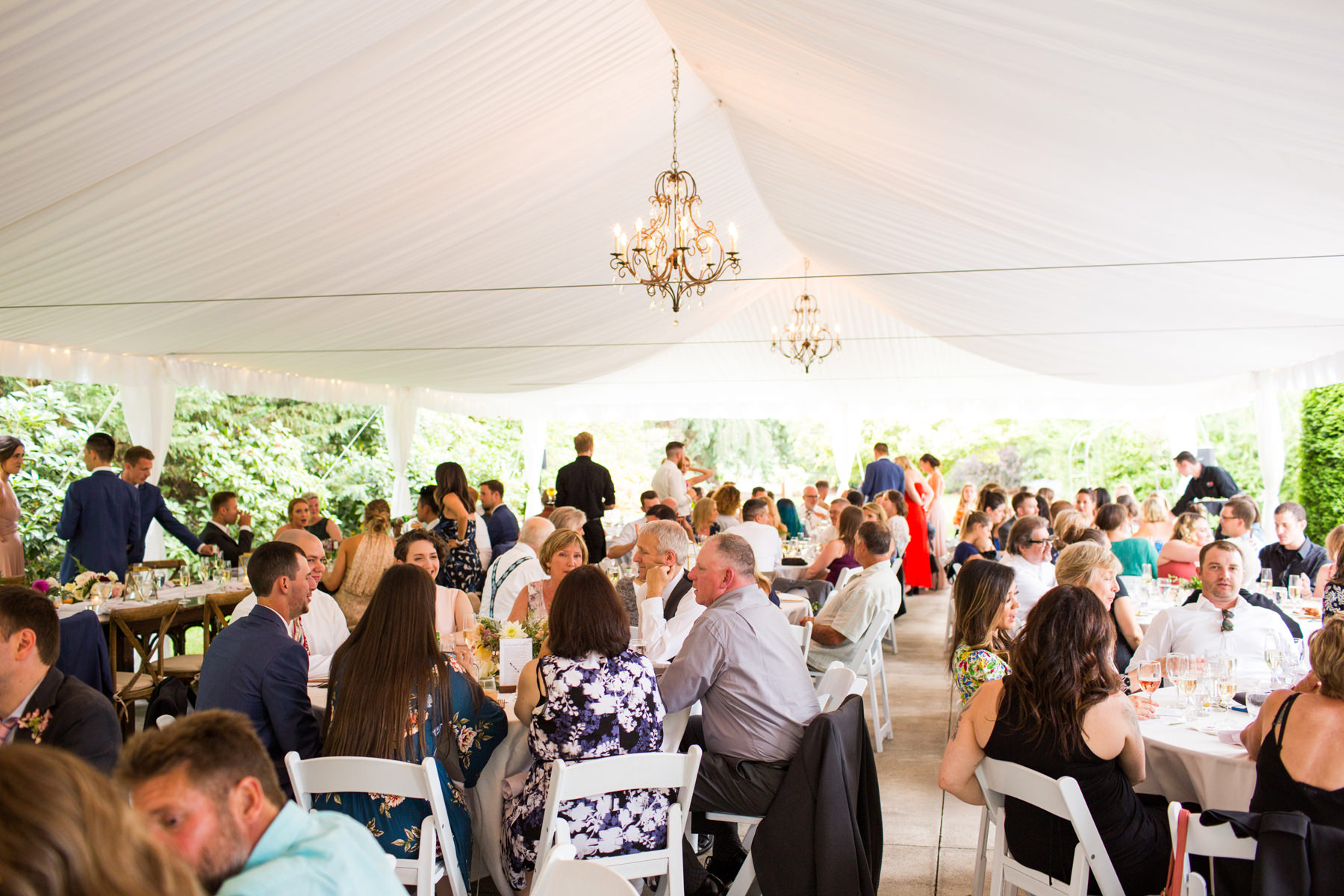 Laurel Creek Manor Wedding Photos